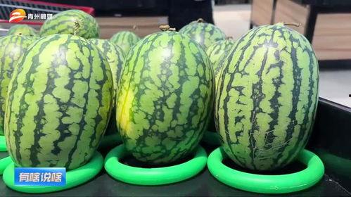 怎么打开吃瓜网,轻松打开吃瓜网，尽享娱乐资讯盛宴！